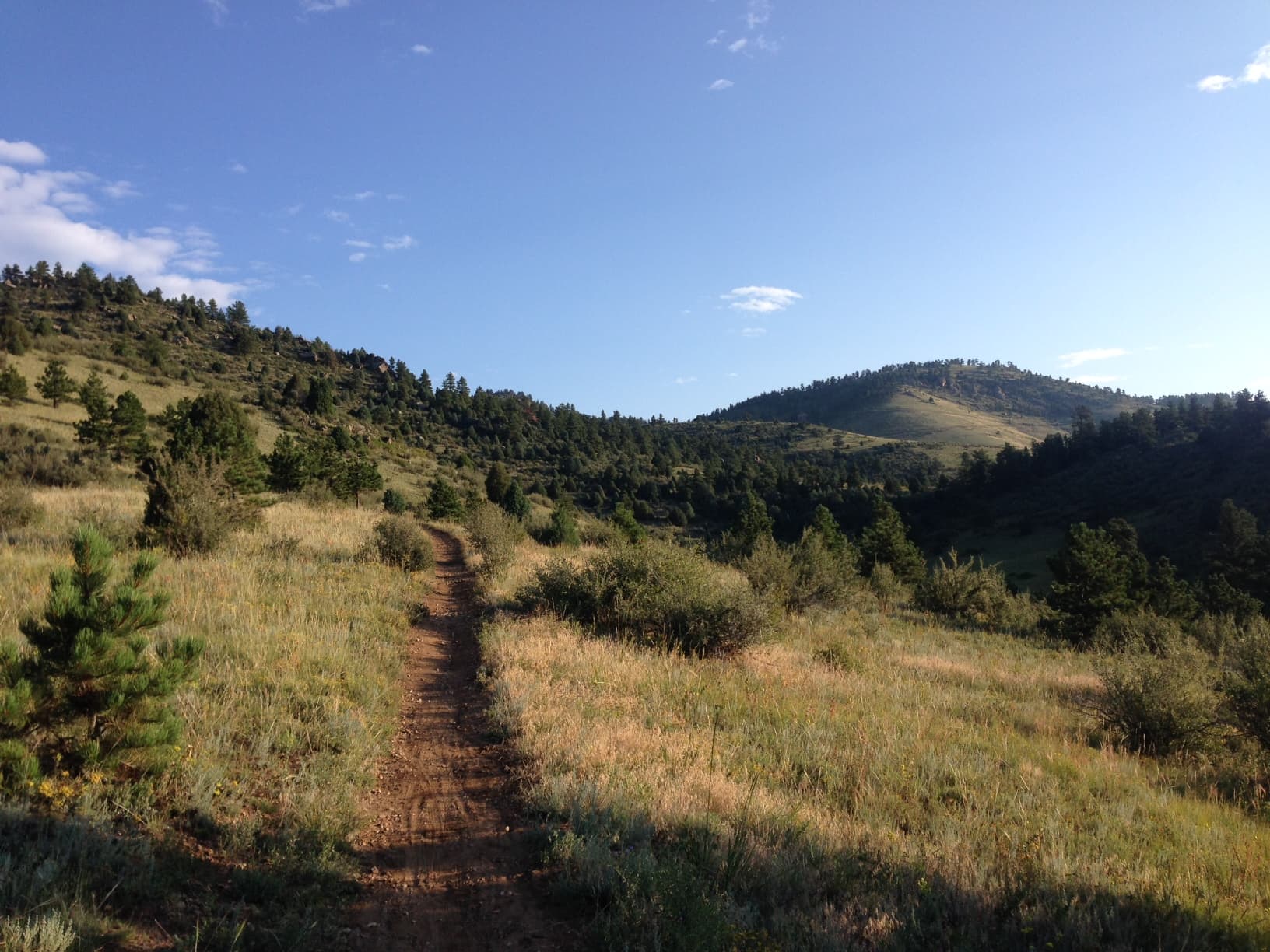 A dirt trail climbing through sunlit foothills under a blue Colorado sky